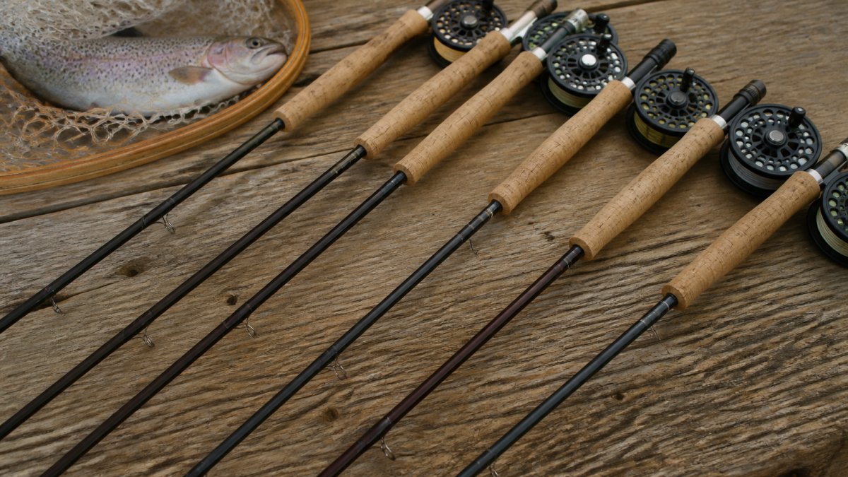 5 Best Fly Rod Weights for Trout Fishing