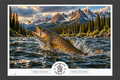 TRCCo Brown Trout Fine Art Print, Limited Edition of 50, 12 × 16 in